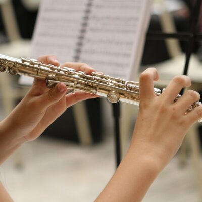 Flute Trio Devon